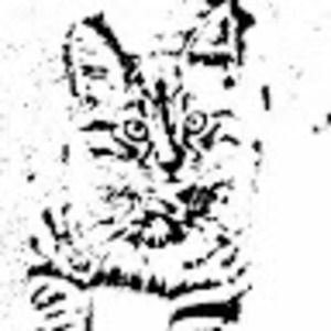 Meet your Posher, Erick